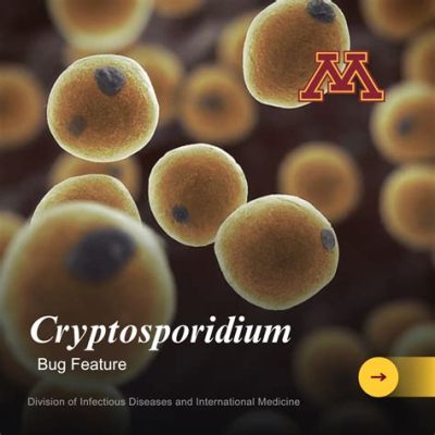  Cryptosporidium! A Tiny Terror That Brings Big Trouble: Unmasking This Parasitic Protist