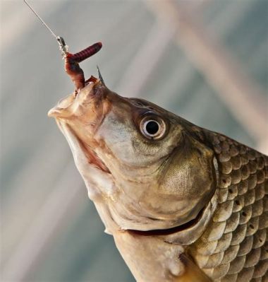 蟲蟲魚愛喫什麼餌：探索動物食性與生態生活