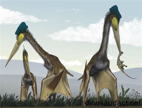  Quetzalcoatlus!  The Majestic Reptile With Feathered Wings That Soared Above the Ancient Earth