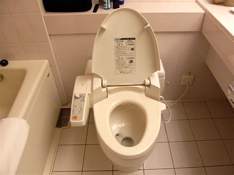 段差のある和式トイレを洋式に：日本のトイレ文化の進化と多様性